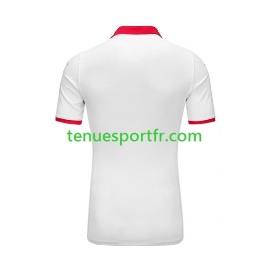 Homme Maillot Extérieur Tunisie 2023-2024 à Manches Courtes