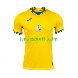 Homme Maillot Domicile Ukraine Euro 2024 à Manches Courtes