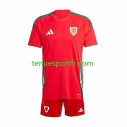 Kit Enfant Maillot Domicile Pays de Galles 2024 à Manches Courtes