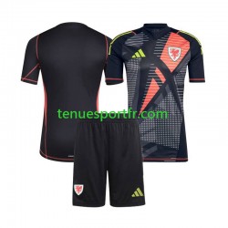 Kit Enfant Maillot Domicile Pays de Galles Gardien 2024 Noir à Manches Courtes
