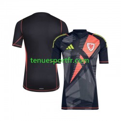 Homme Maillot Domicile Pays de Galles Gardien 2024 Noir à Manches Courtes