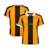Homme Maillot Domicile Hull City 2026-2027 à Manches Courtes