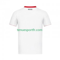 Homme Maillot Extérieur Eintracht Frankfurt 2024-2025 à Manches Courtes