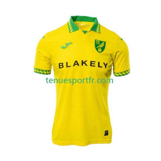 Homme Maillot Domicile Norwich City 2025-2026 à Manches Courtes