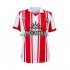 Homme Maillot Domicile Southampton 2025-2026 à Manches Courtes