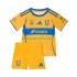 Kit Enfant Maillot Domicile Tigres UANL 2025-2026 à Manches Courtes