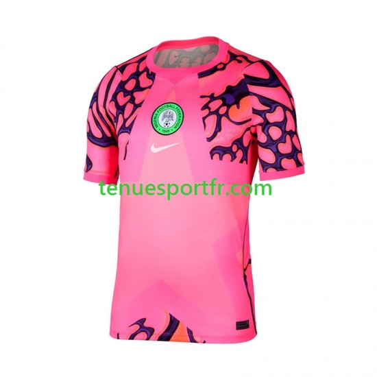 Homme Maillot Domicile Nigeria Gardien 2026 à Manches Courtes
