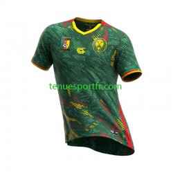 Homme Maillot Domicile Cameroun 2026 à Manches Courtes