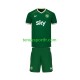 Kit Enfant Maillot Domicile Irlande 2026 à Manches Courtes