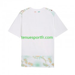 Homme Maillot Extérieur Côte d'Ivoire World Cup 2026 à Manches Courtes