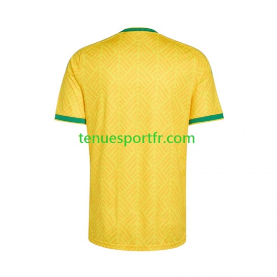 Homme Maillot Domicile Afrique Du Sud World Cup 2026 à Manches Courtes